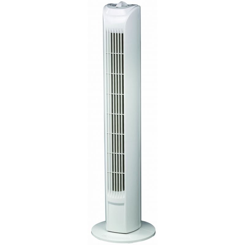 Fans